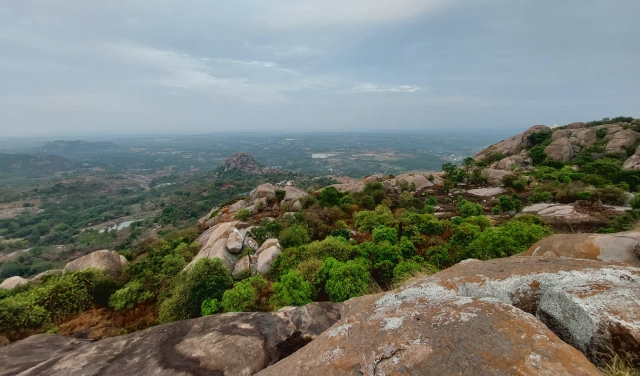 Uttari Betta Trek from Bangalore: An Adventure Within Reach