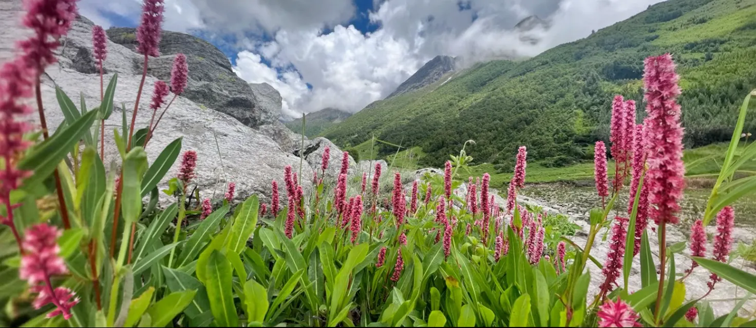 Valley of Flowers: Age Limit
