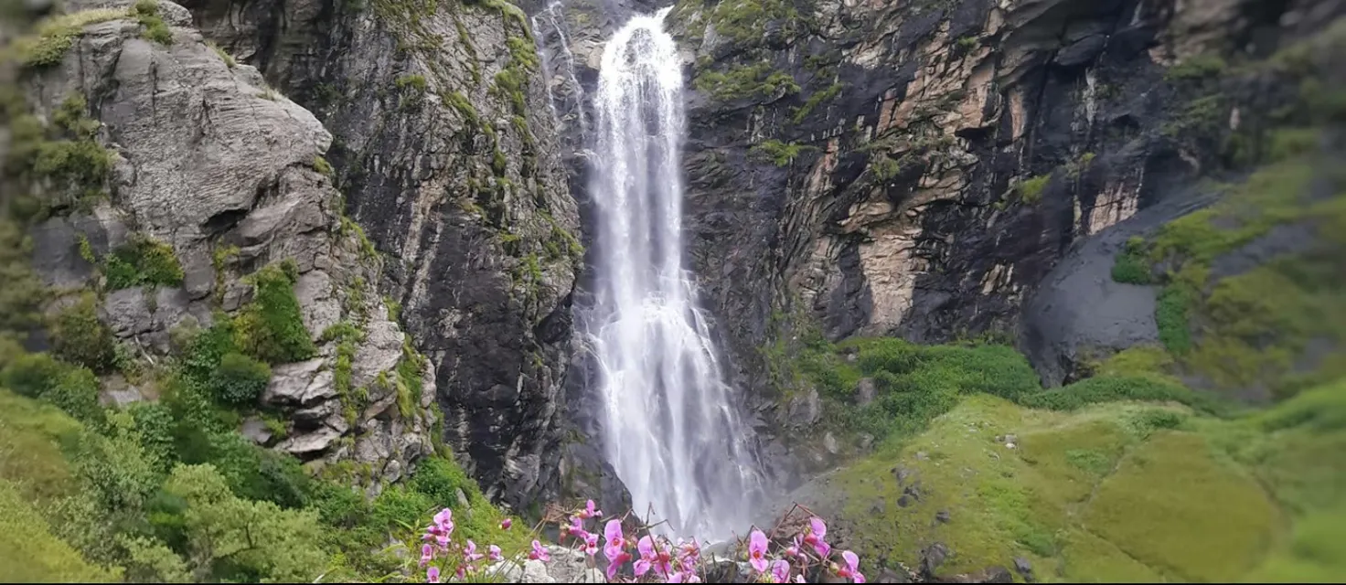 Valley of Flowers: Best Time to Visit