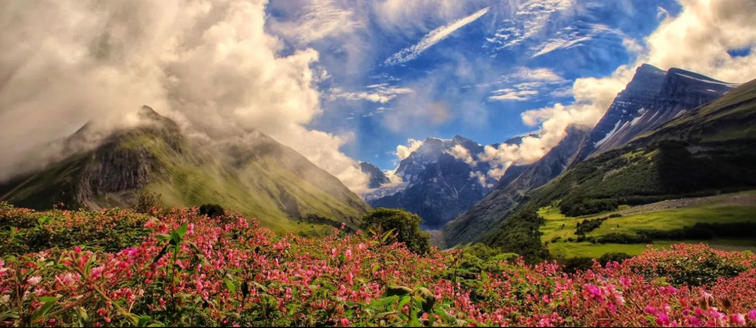 Valley of Flowers: How to Reach