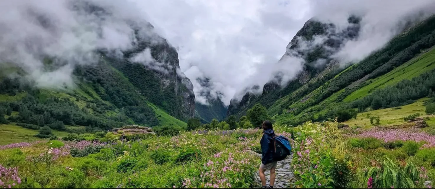 Valley of Flowers: Price