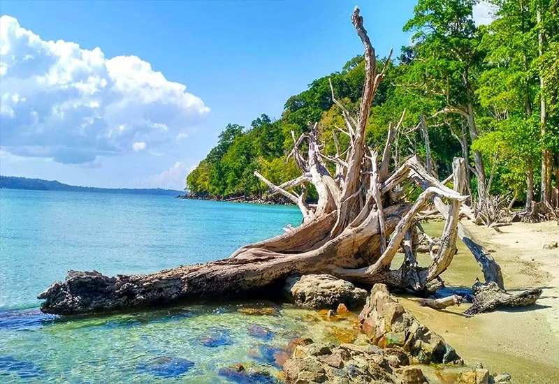 Top 15 Things to do in Port Blair