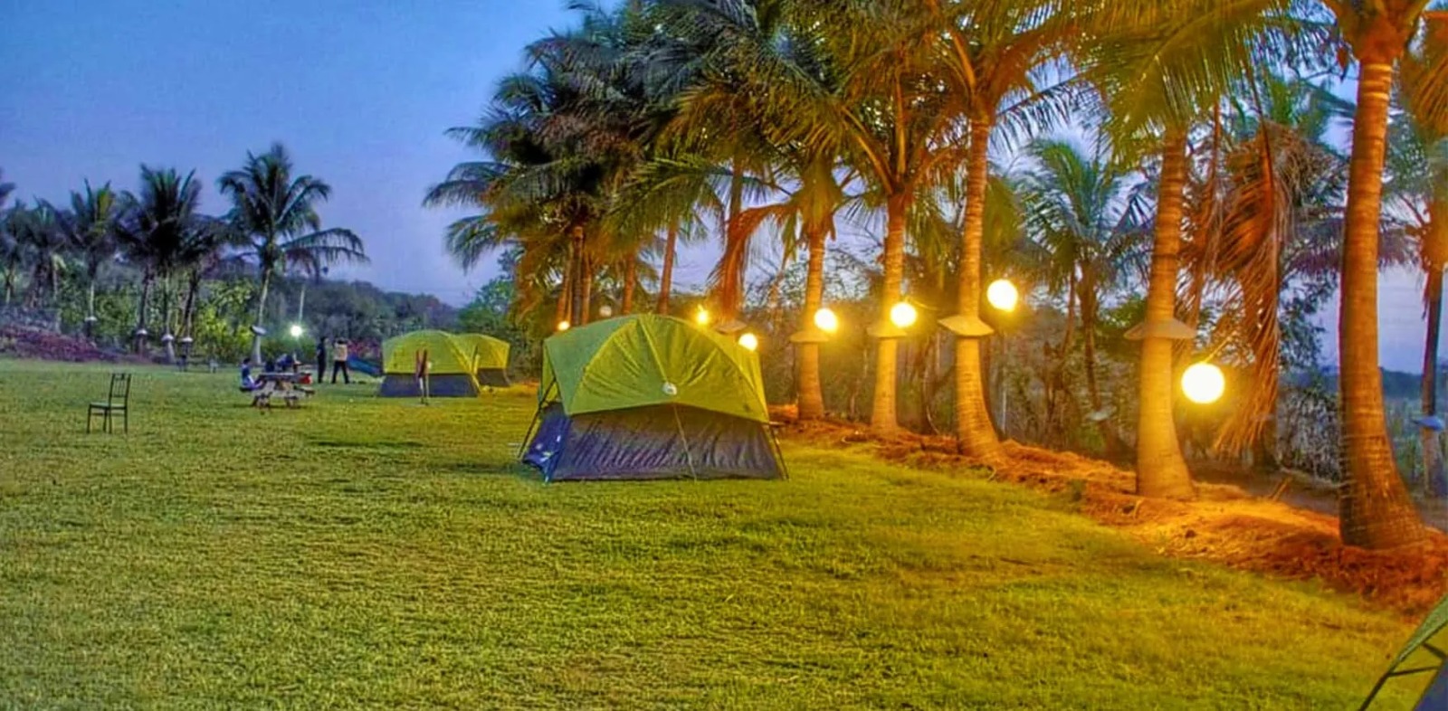 Alibaug Beach Camping: Check Out Our Sweeping Deals!