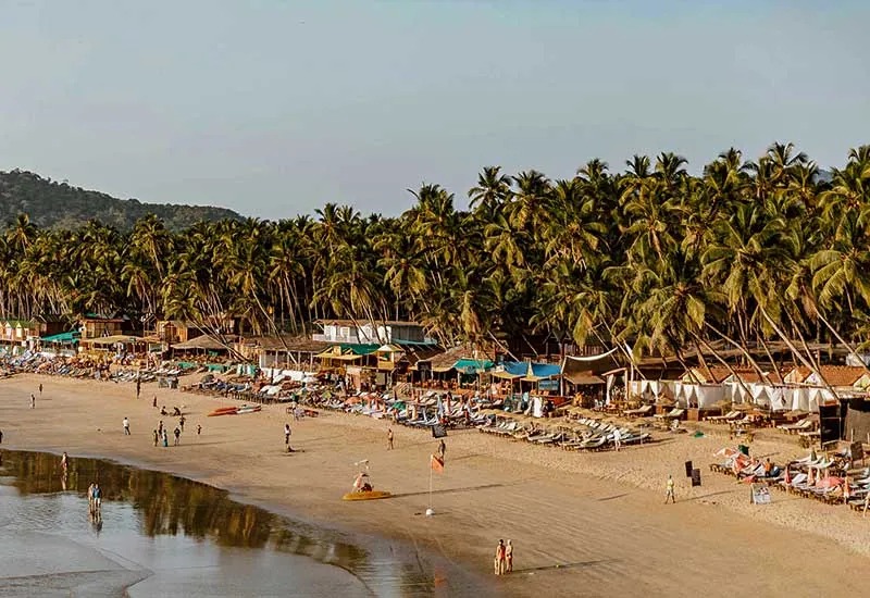 Palolem Beach Hotels: Book Your Vacation in South Goa