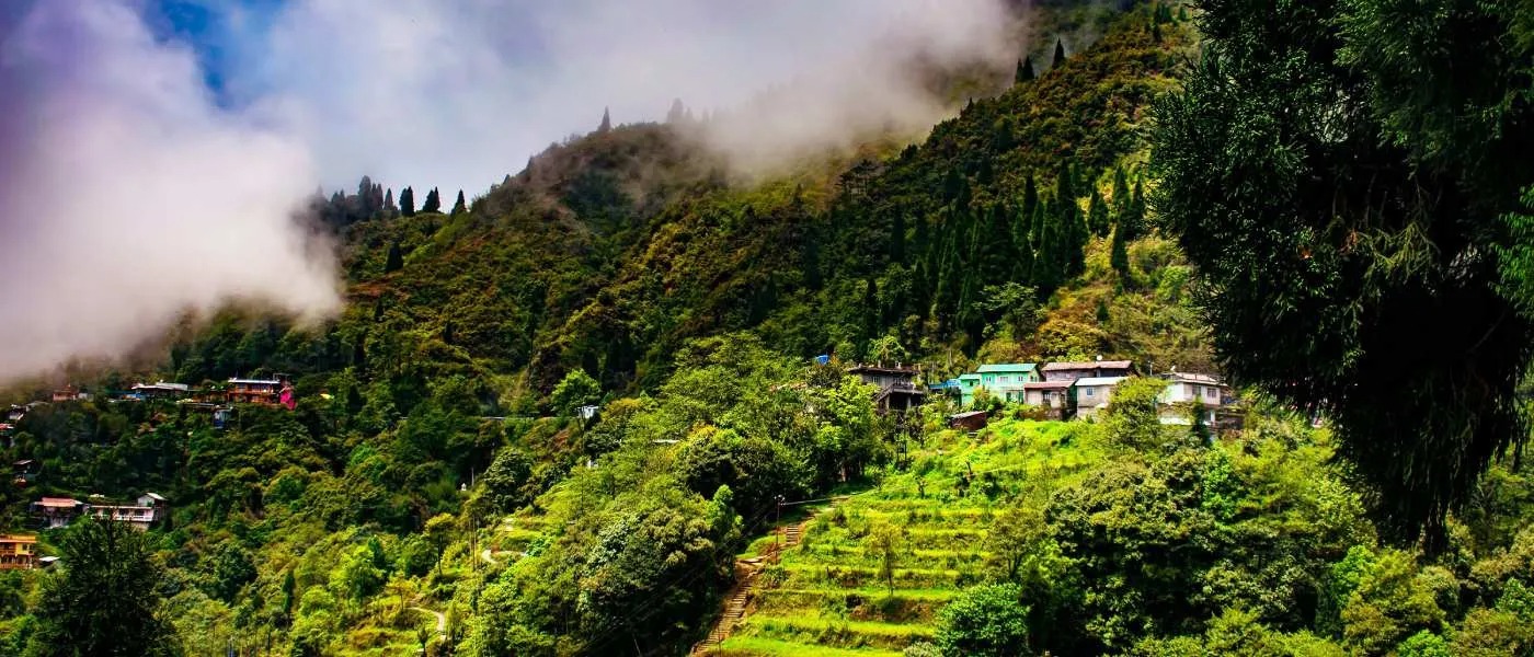 20 Options for the Best Homestay in Darjeeling