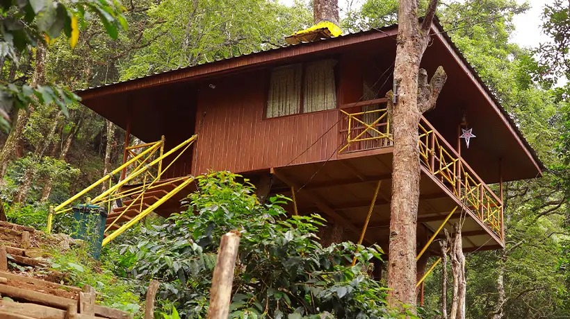 15 Best Kerala Tree Houses