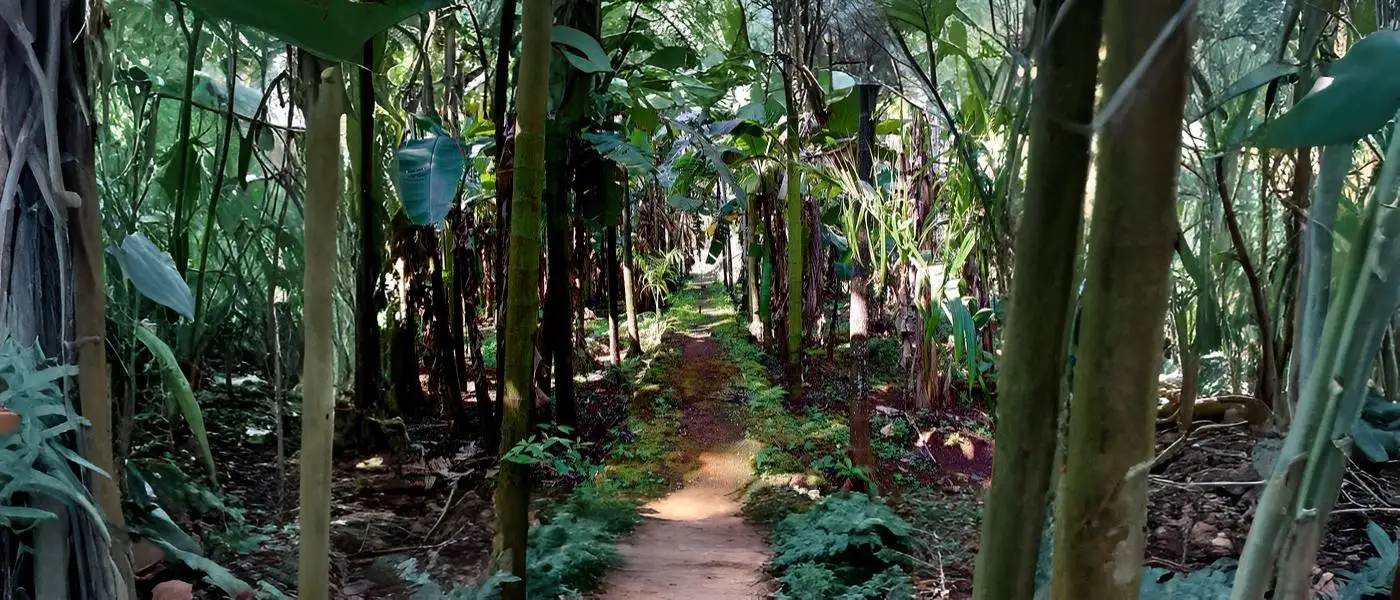 Sahakari Spice Farm Goa