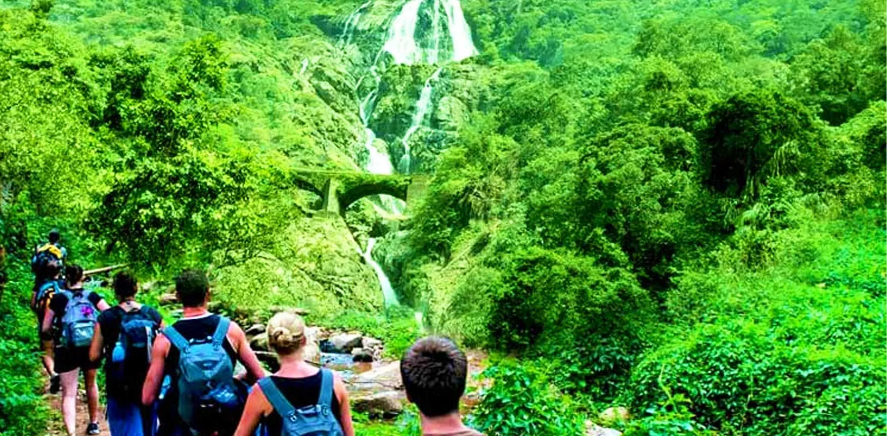 Explore the Dudhsagar Waterfall Trek With The Best Itinerary Crafted!