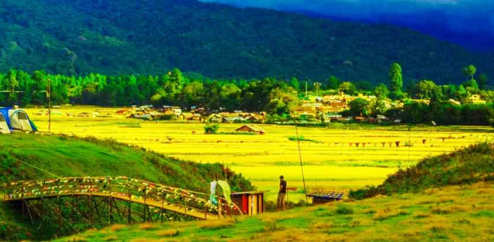 Ziro Valley Tourism