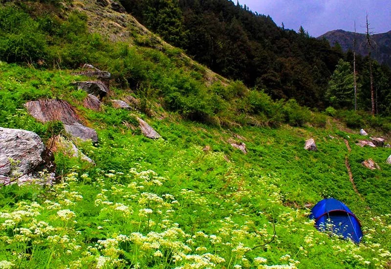 Tirthan Valley: A Stunning Valley in Himachal Pradesh