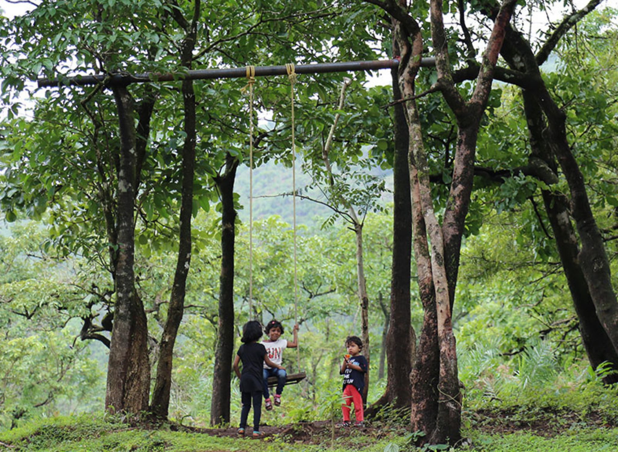 Day Outing at Saalugudda Resort Sakleshpur