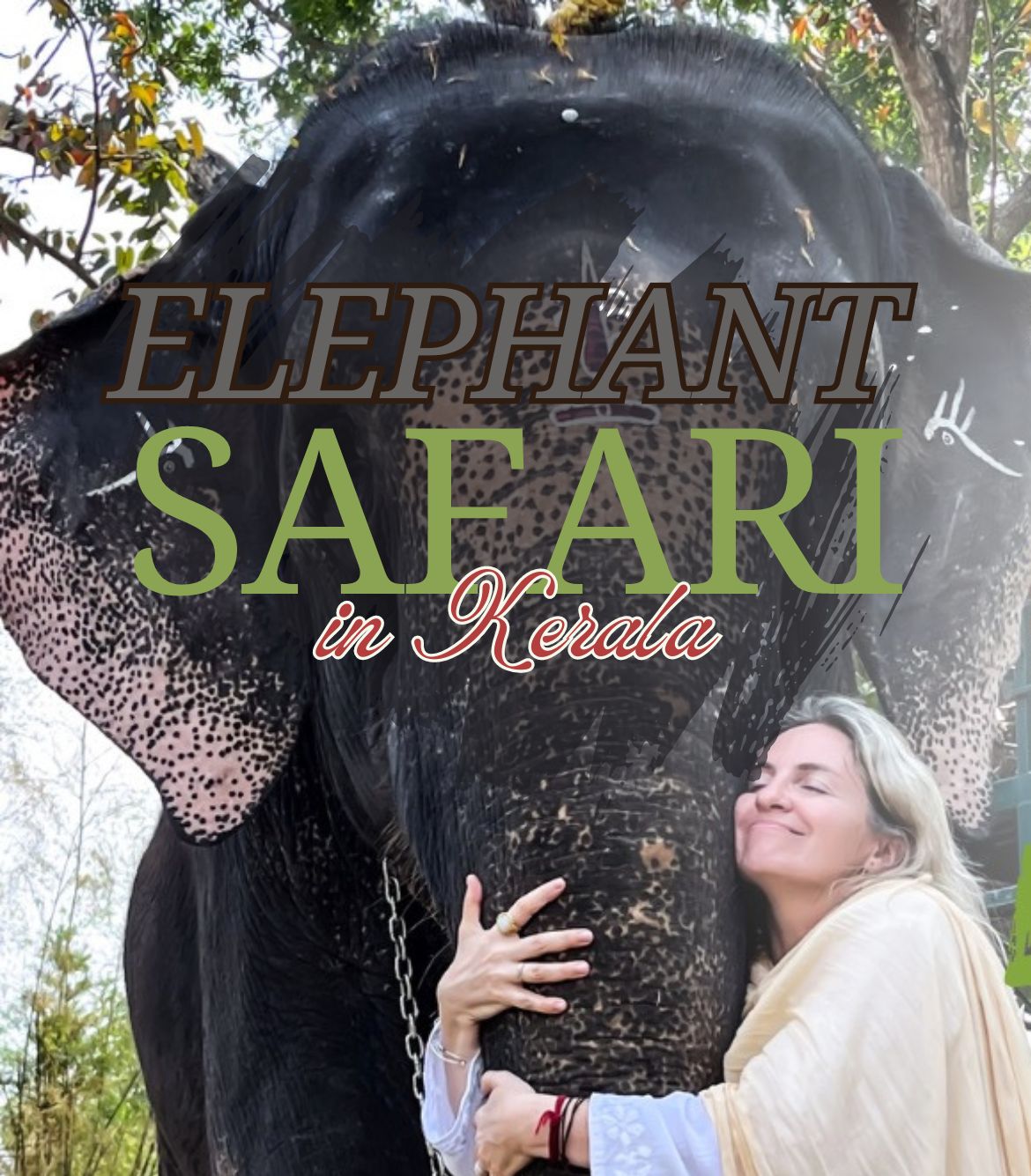 Elephant Safari in Kerala