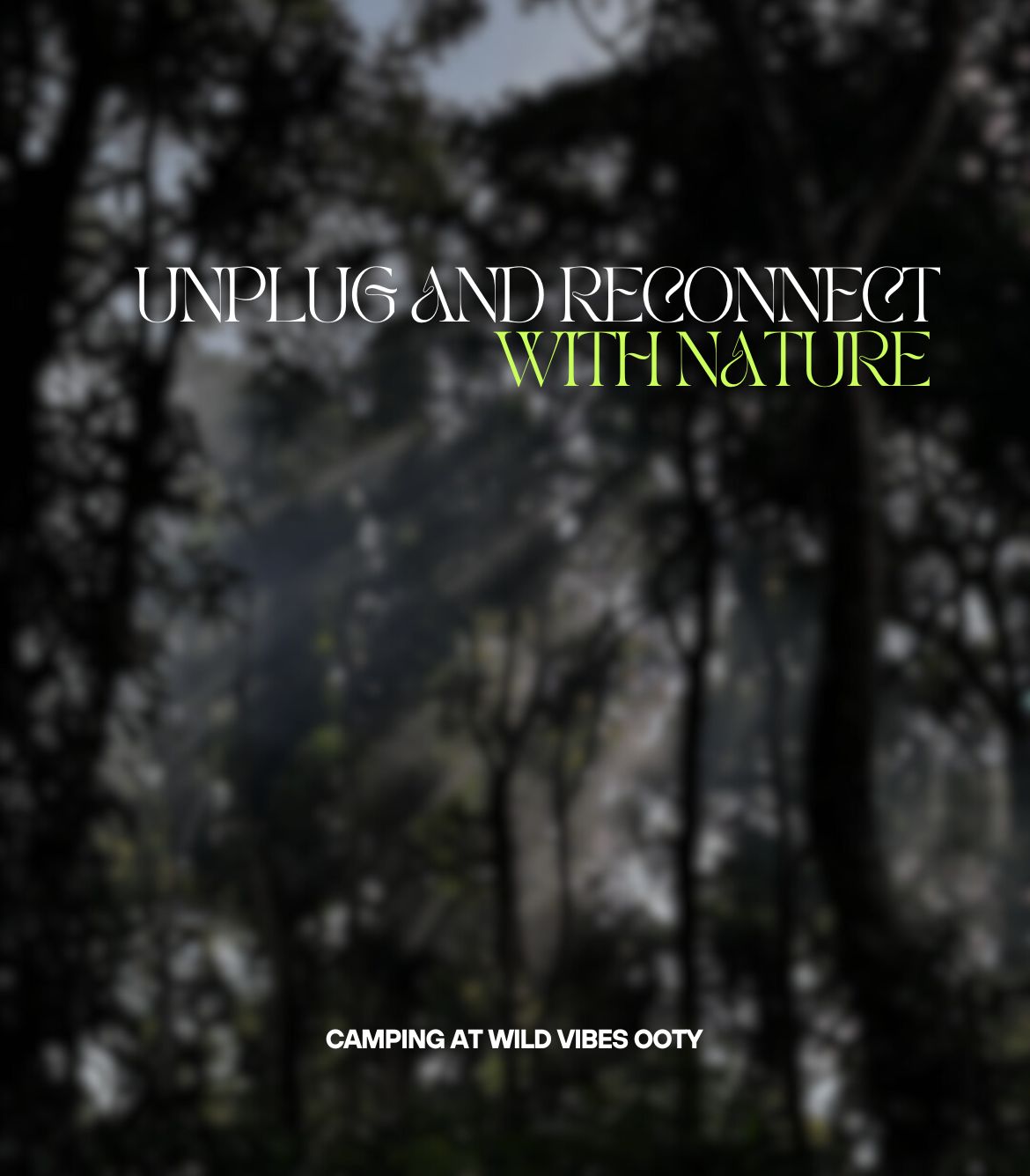 Camping at Wild Vibes Ooty