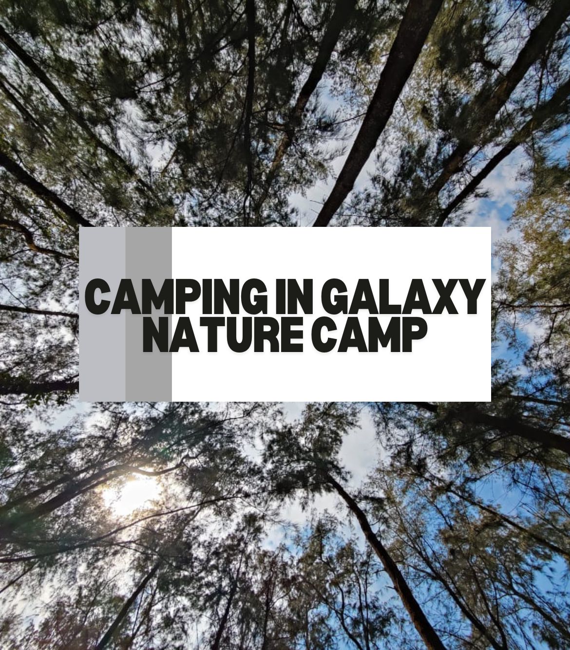 Camping in Galaxy Nature Camp