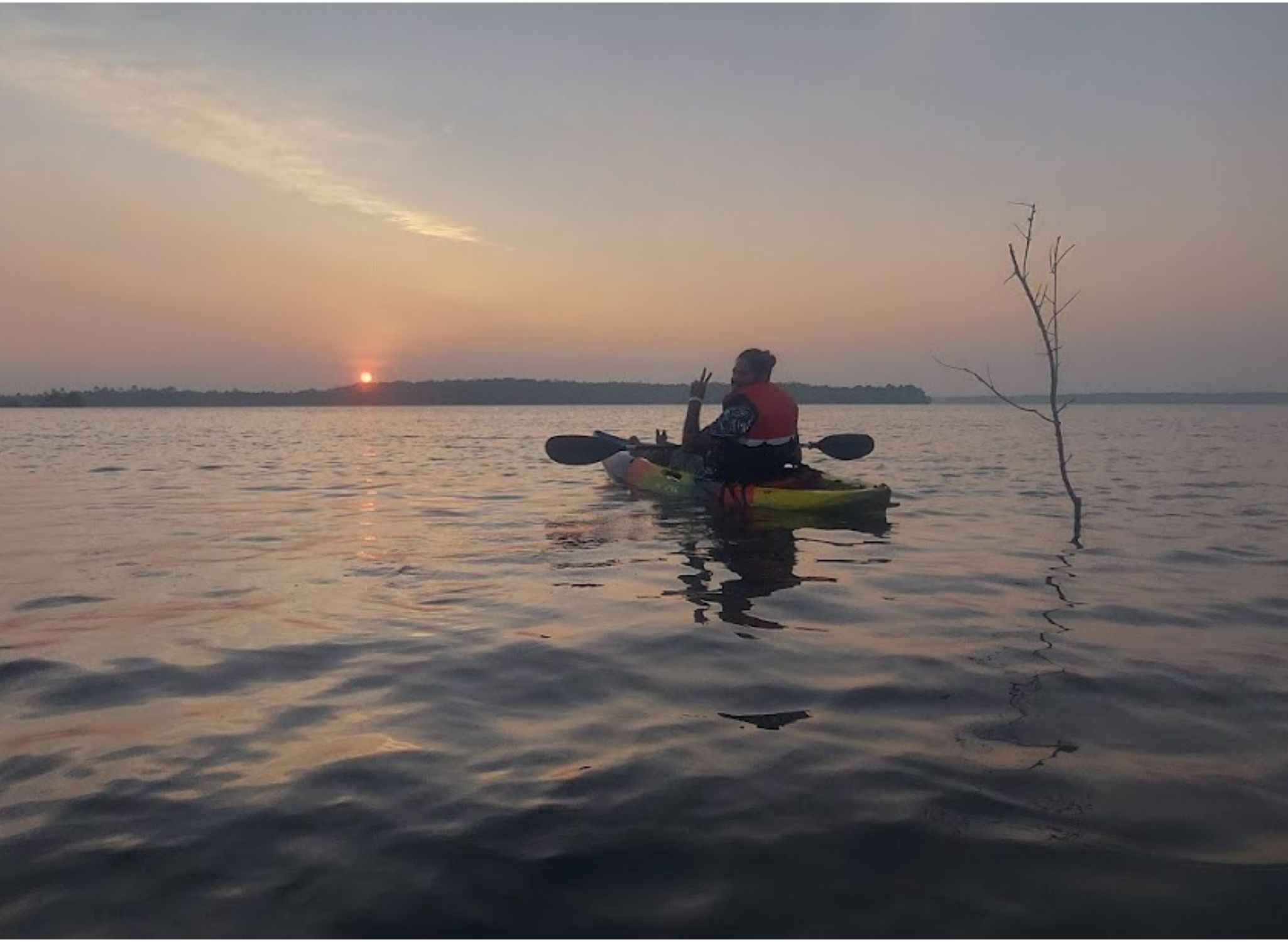 Backwater Kayaking in Munroe Island