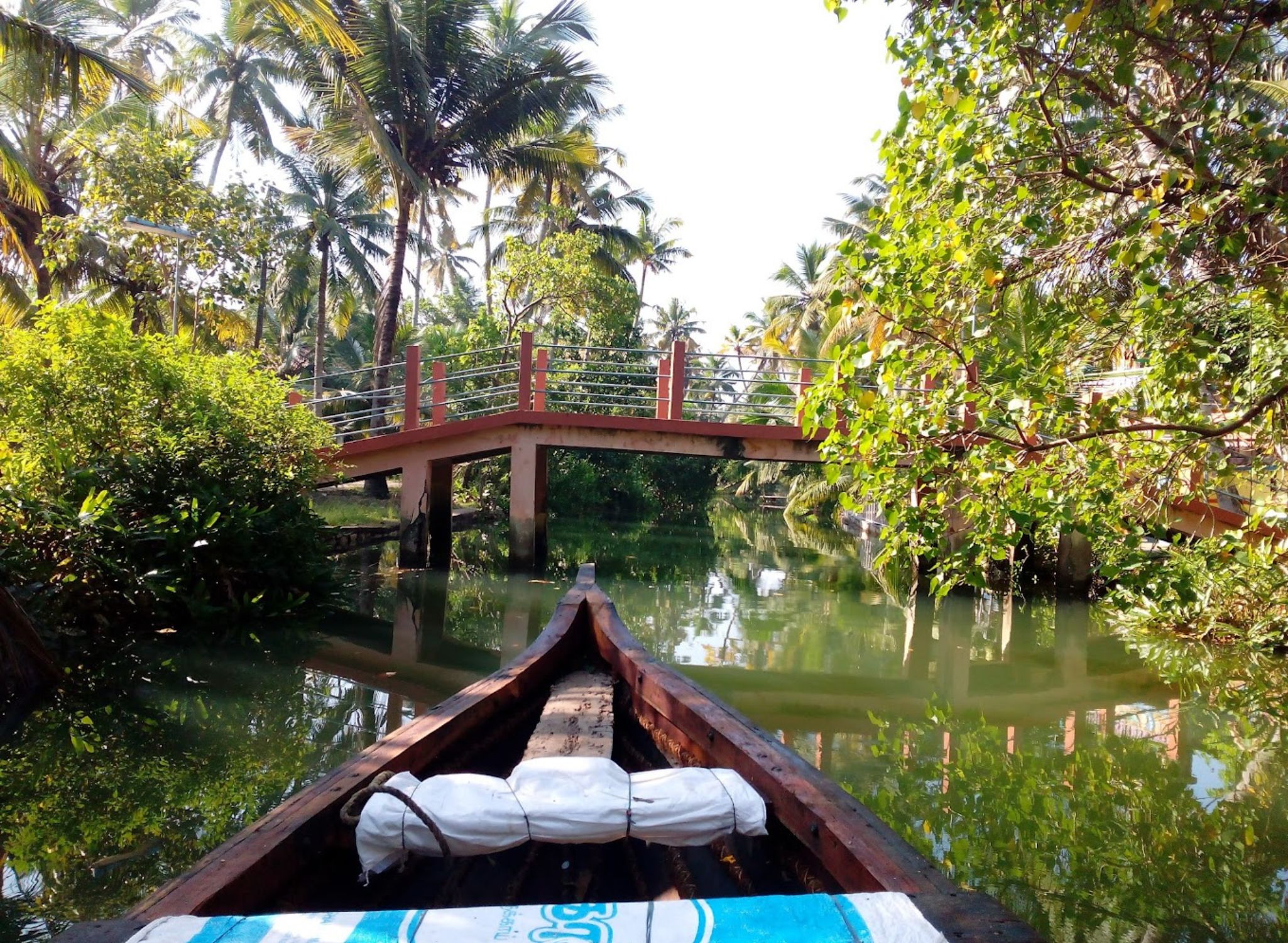 Backwater Kayaking in Munroe Island