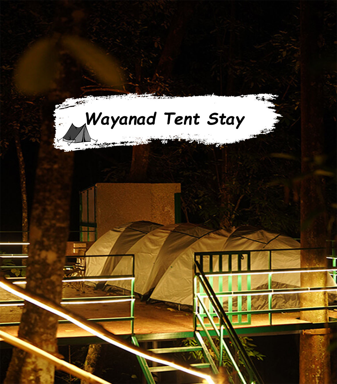 Wayanad Tent Stay | For Nature Lovers Only