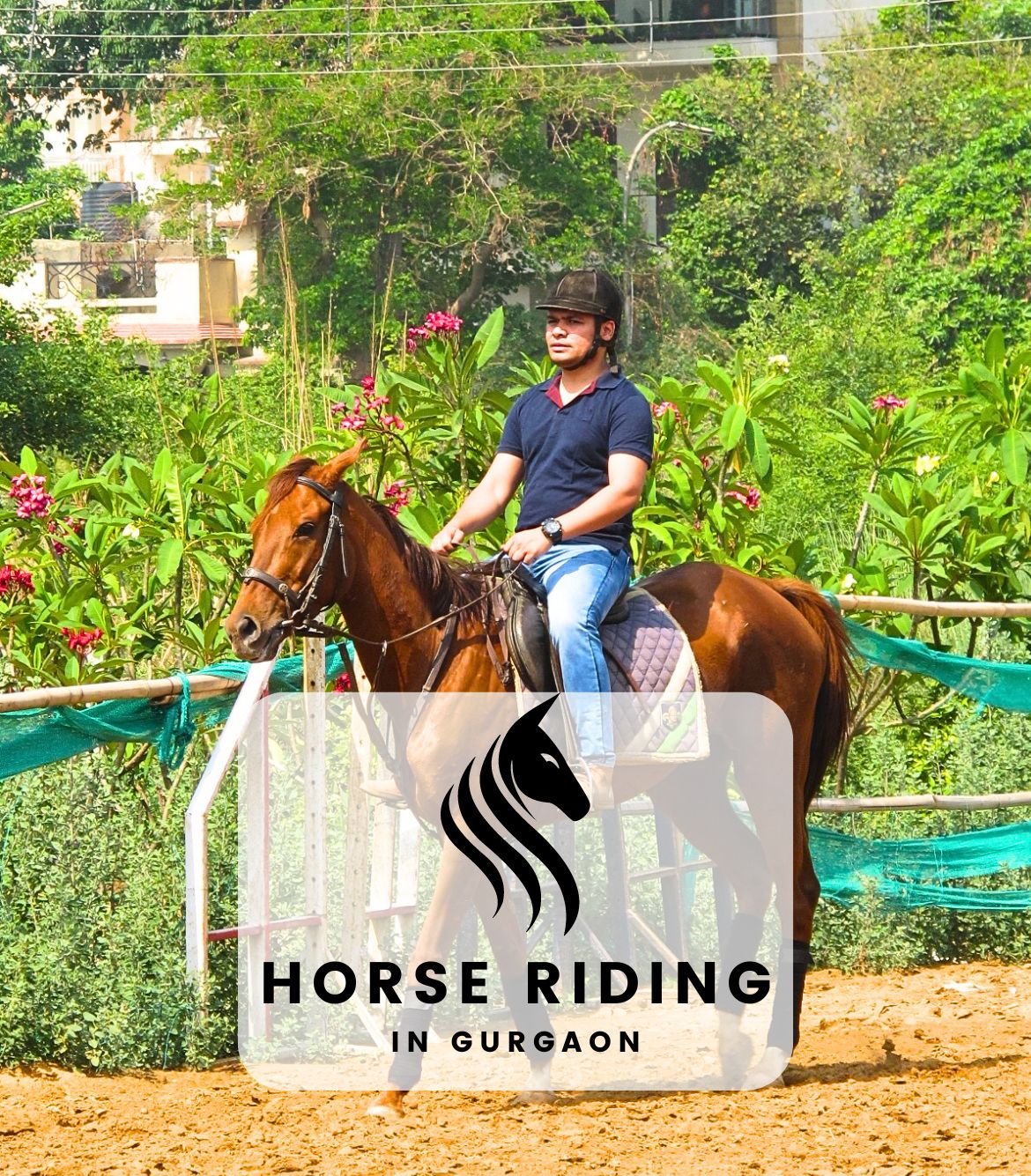 Horse Riding in Gurgaon