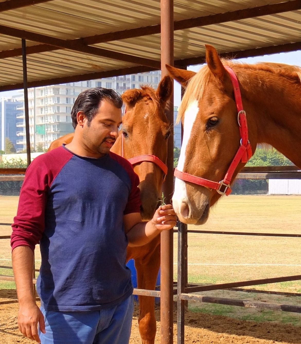 Horse Riding in Gurgaon