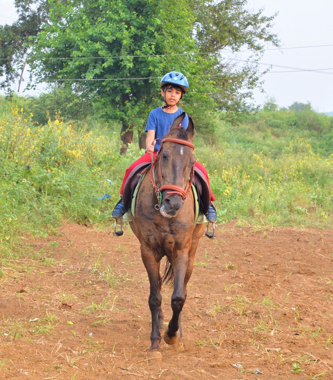 Horse Riding in Gurgaon