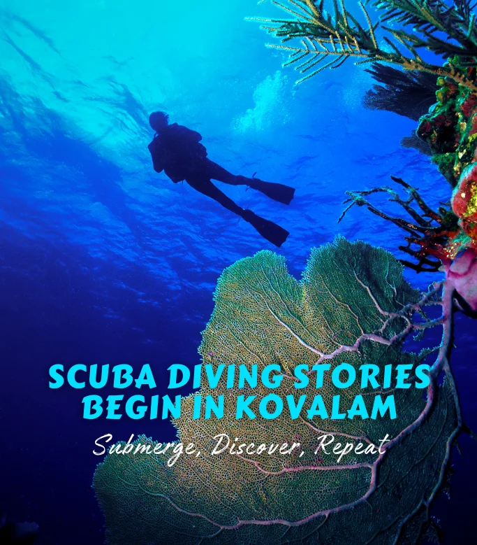 Scuba Diving in Kovalam