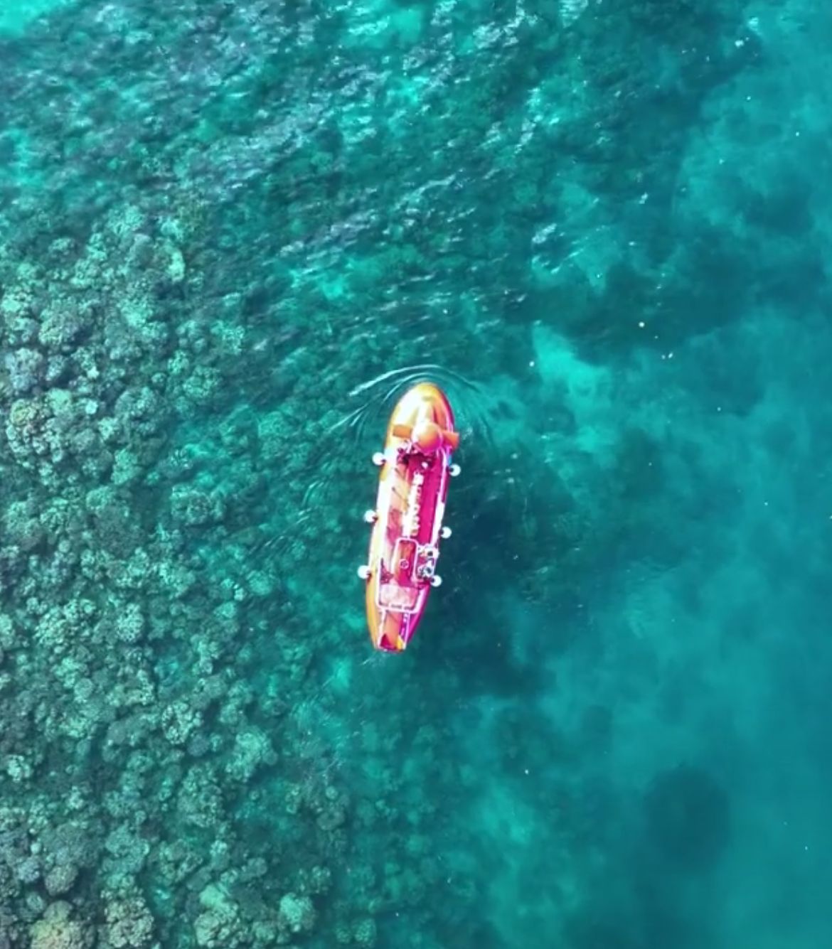 Semi Submarine in Havelock