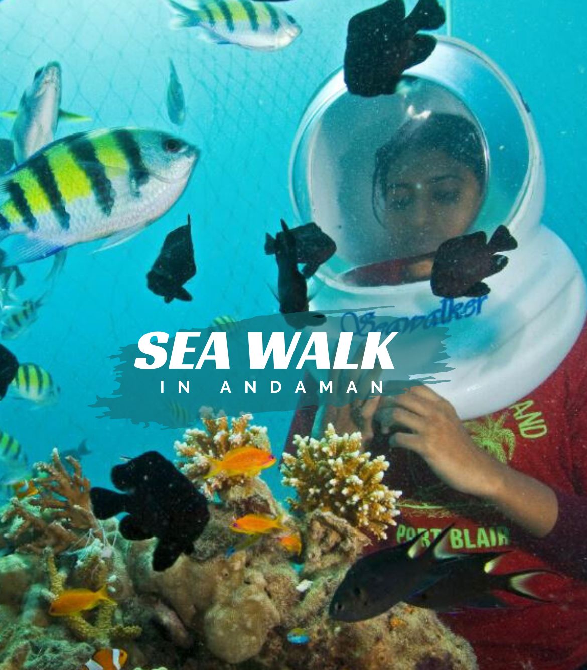 Sea Walk in Andaman