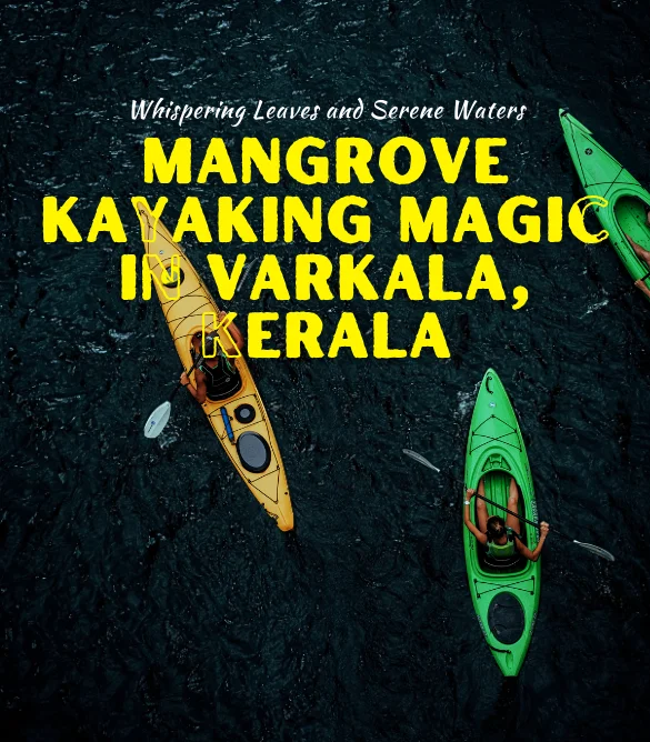 Mangrove Kayaking in Varkala, Kerala