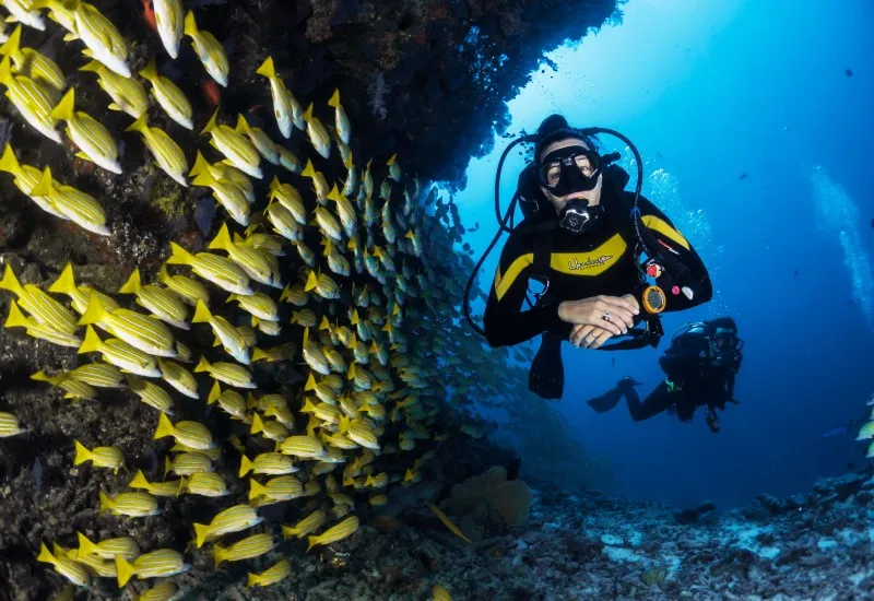 Scuba Diving in Antalya