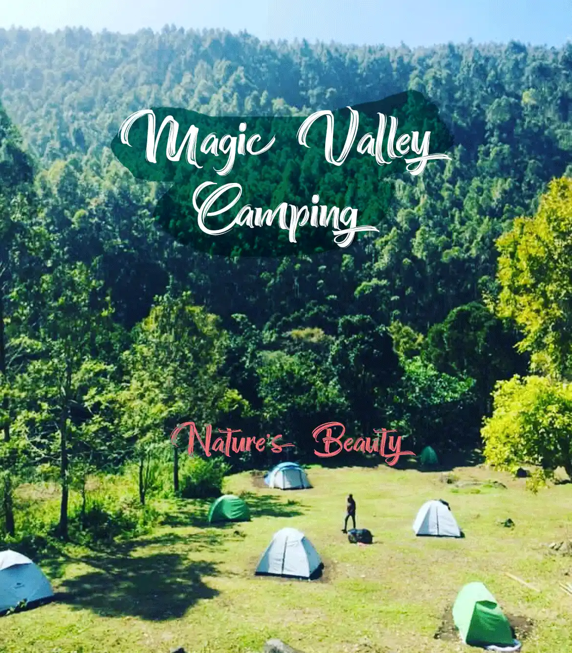 Magic Valley Camping Vattavada