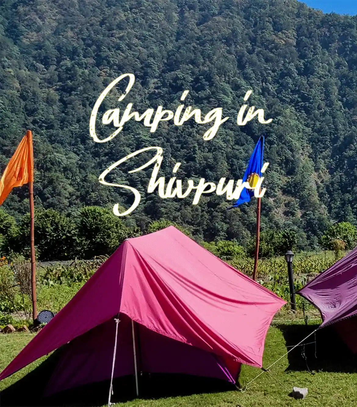 Camping in Shivpuri