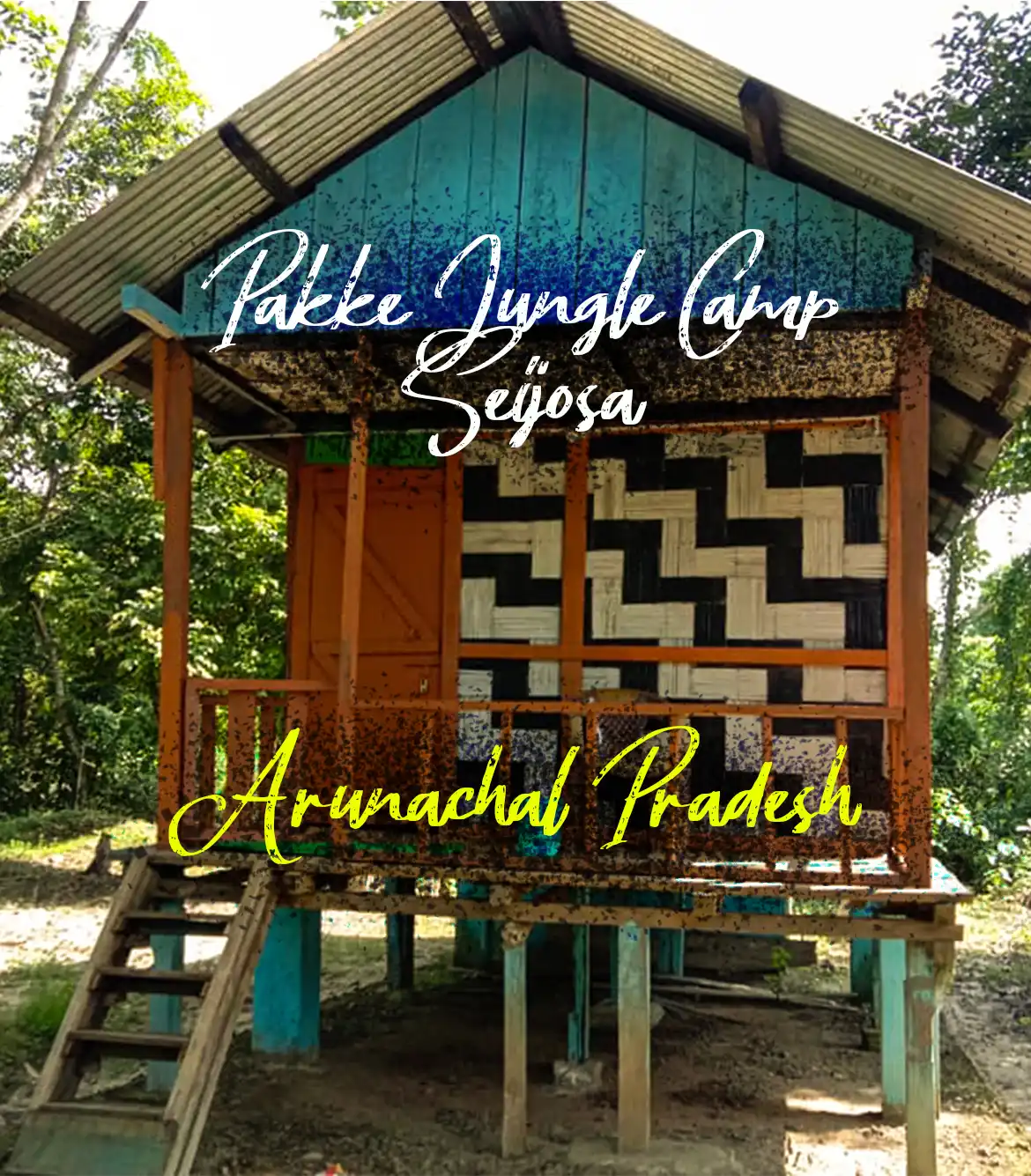 Pakke Jungle Camp Seijosa