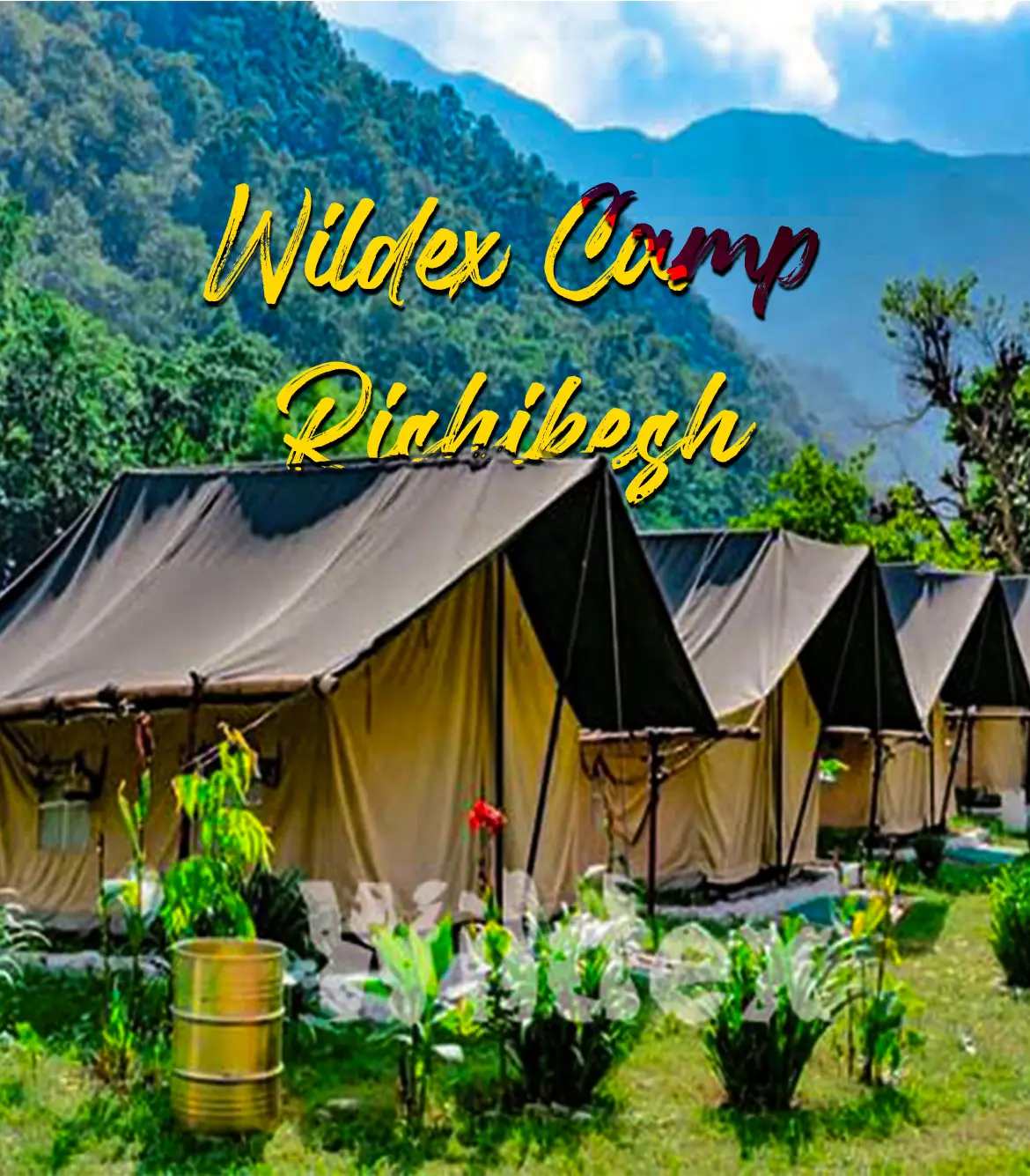 Wildex Camp Rishikesh