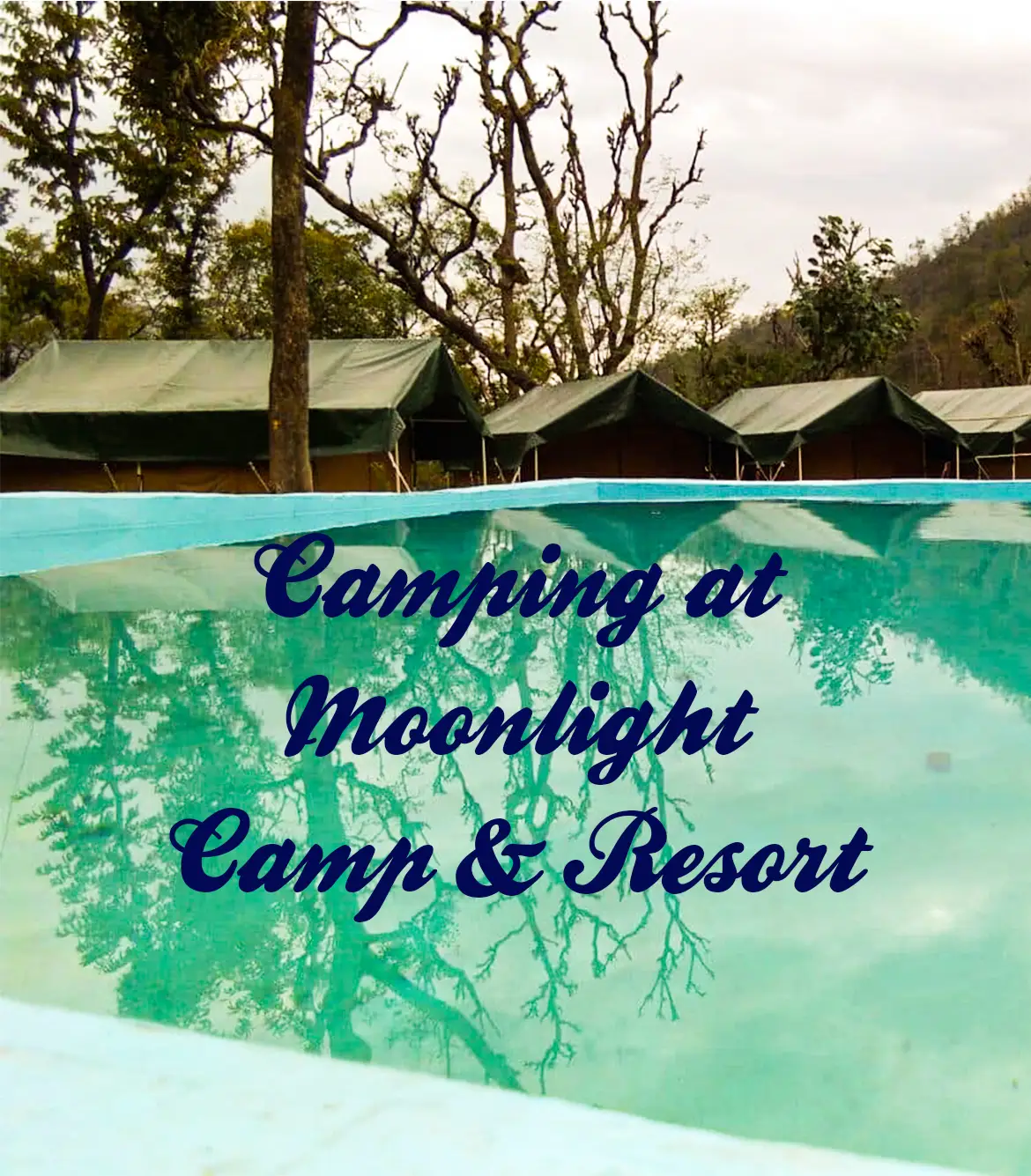 Moonlight Camp Rishikesh