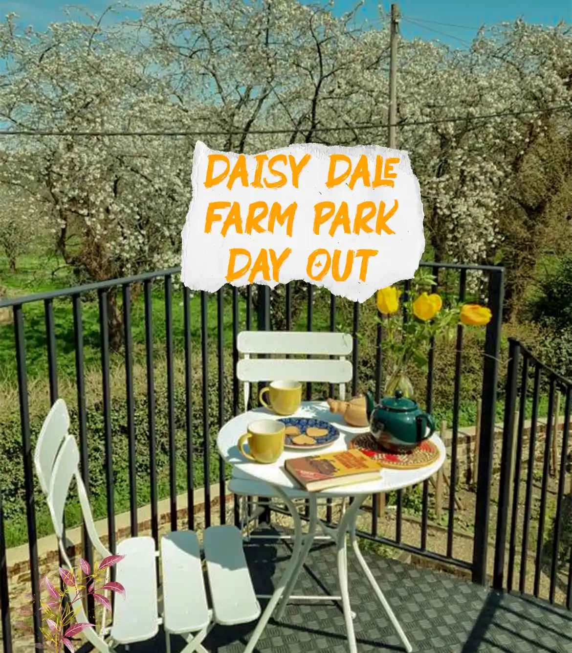 Daisy Dale Farm Park Day Out