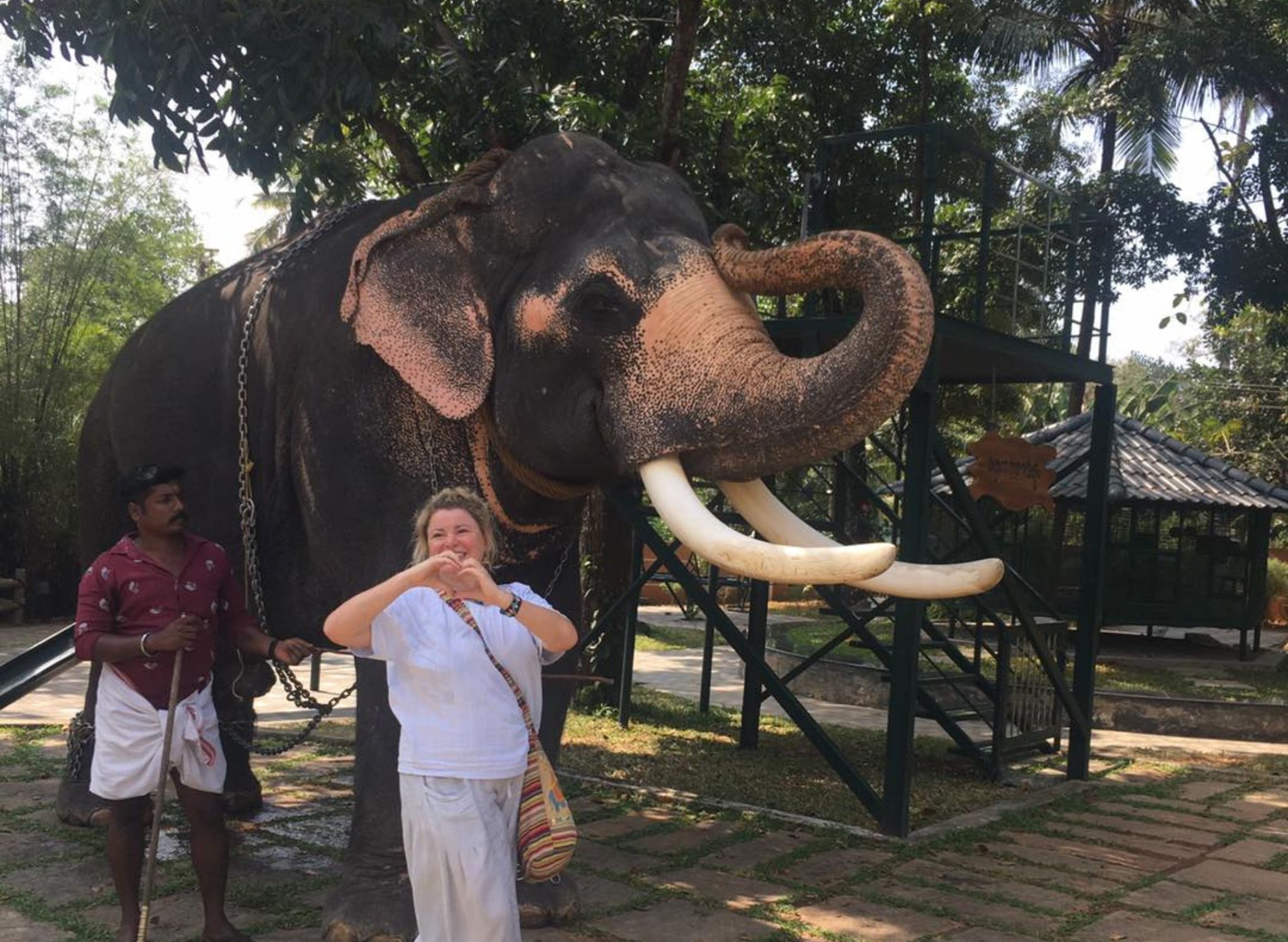 Elephant Safari in Kerala