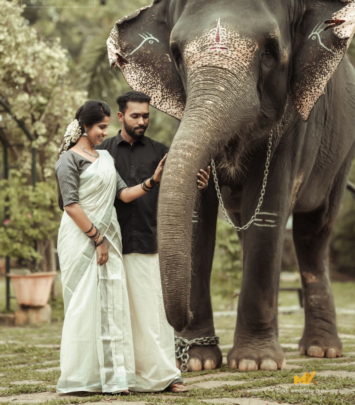 Elephant Safari in Kerala