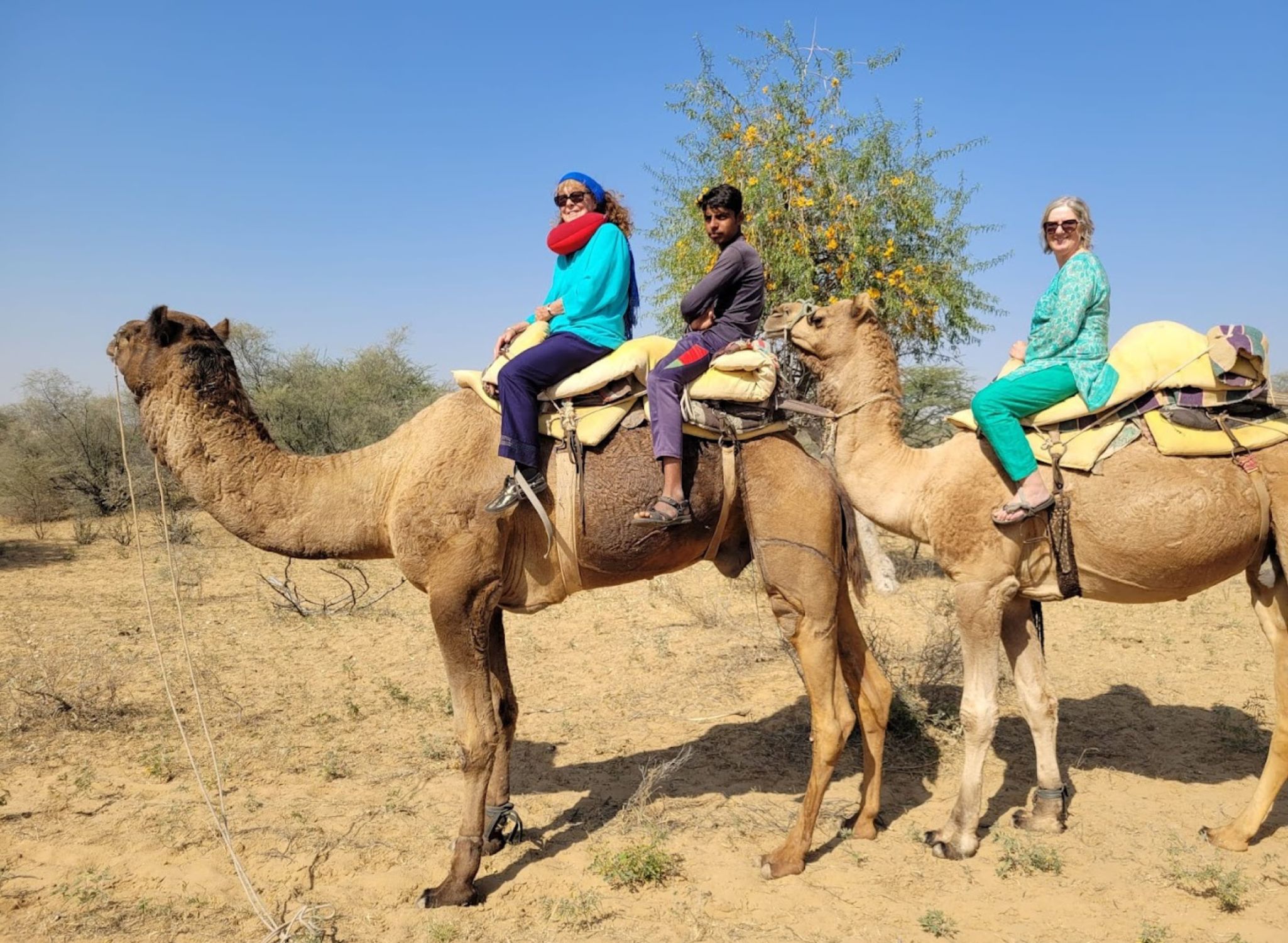 Camel Ride in Jodhpur