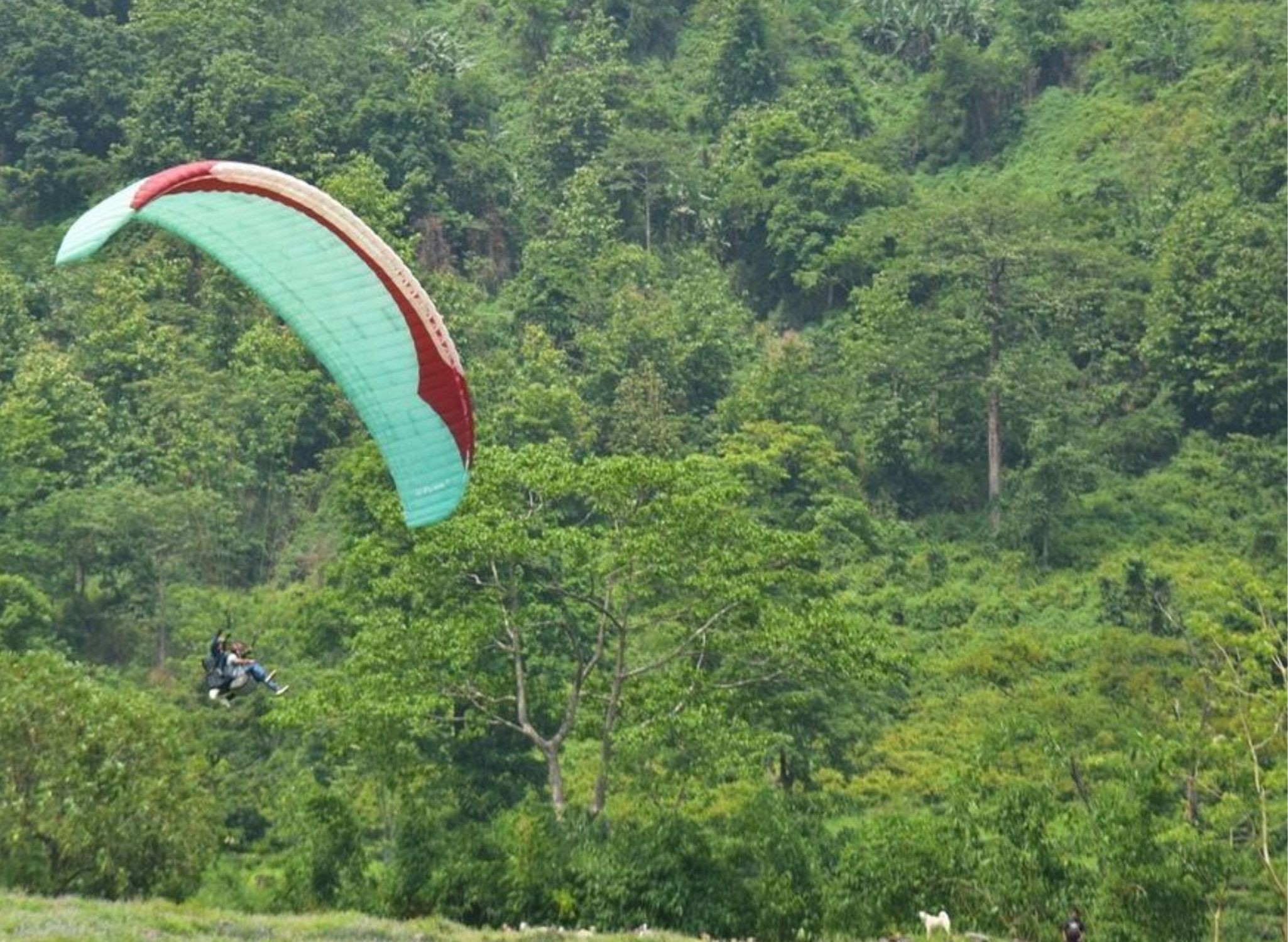 Paragliding in Kurseong