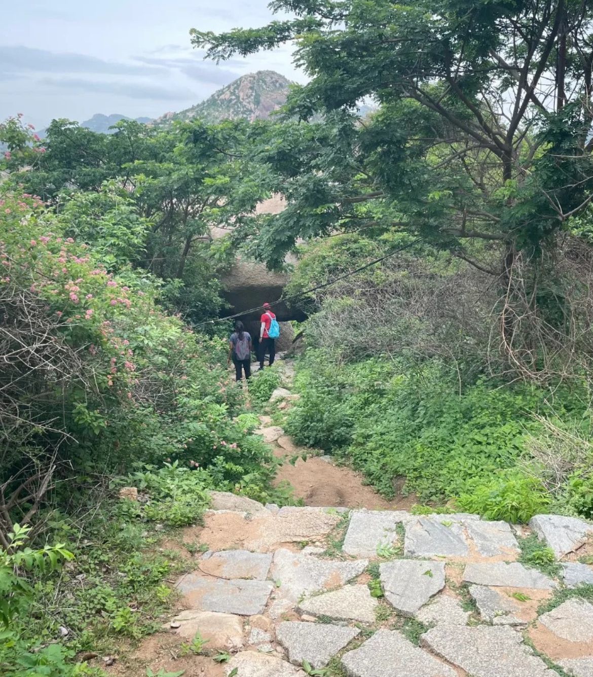 Narasimha Parvatha Trek from Bangalore