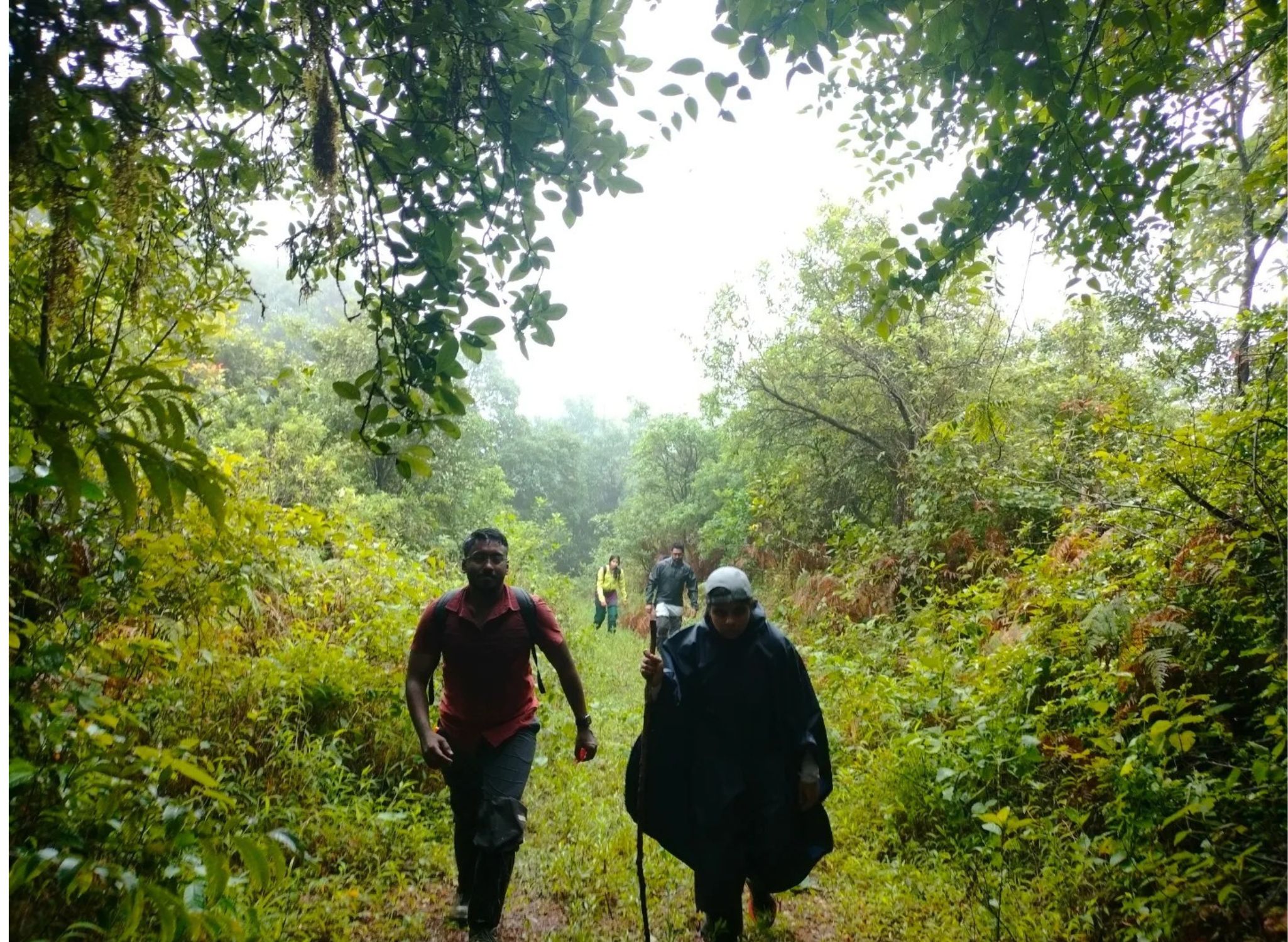 Narasimha Parvatha Trek from Bangalore