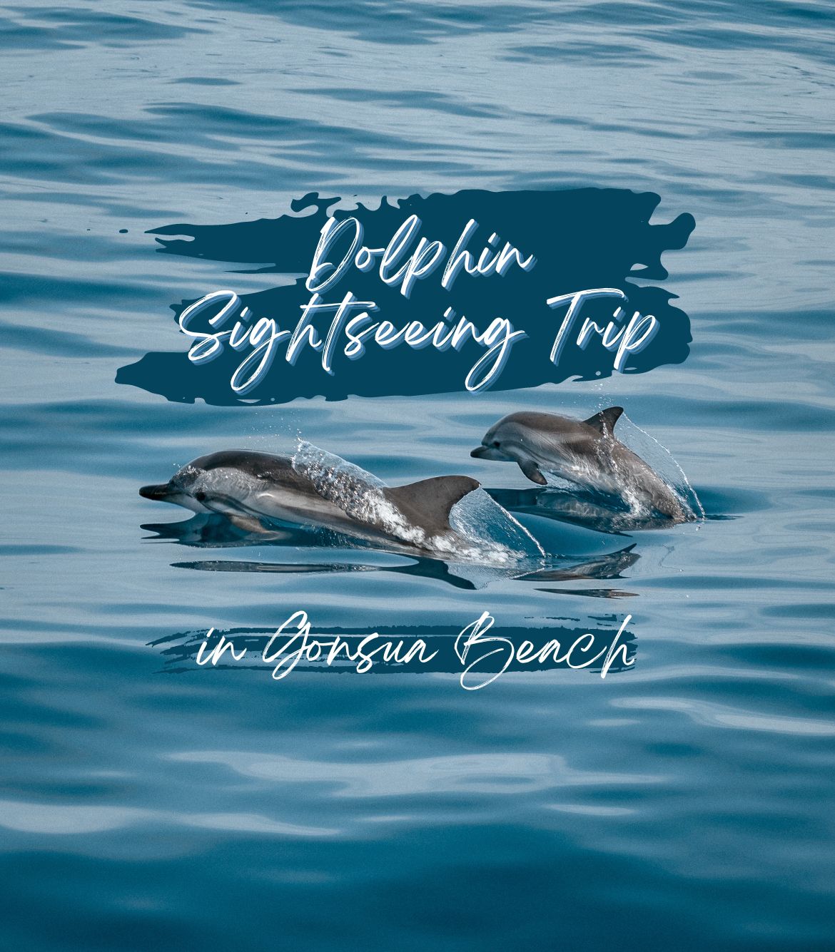 Dolphin Sightseeing Trip in Gonsua Beach