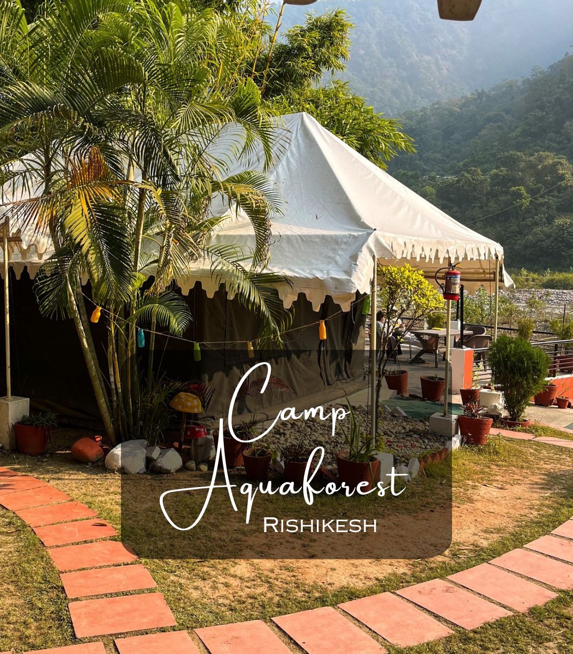 Camp Aquaforest Rishikesh | Luxurious Staycation