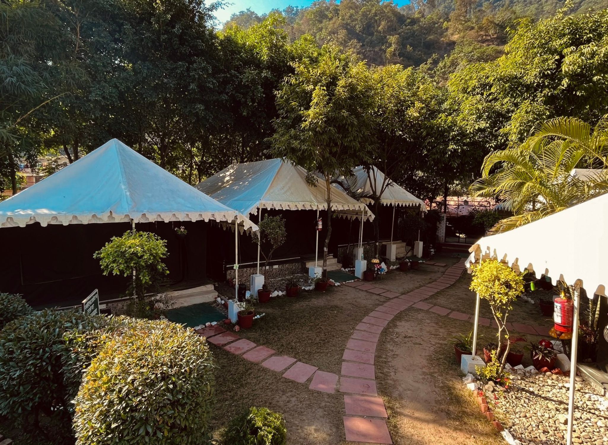 Camp Aquaforest Rishikesh | Luxurious Staycation