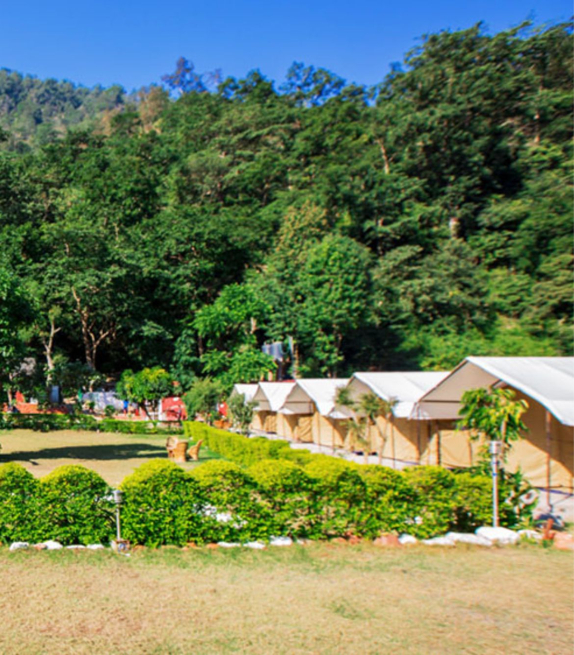 Aspen Camp Rishikesh