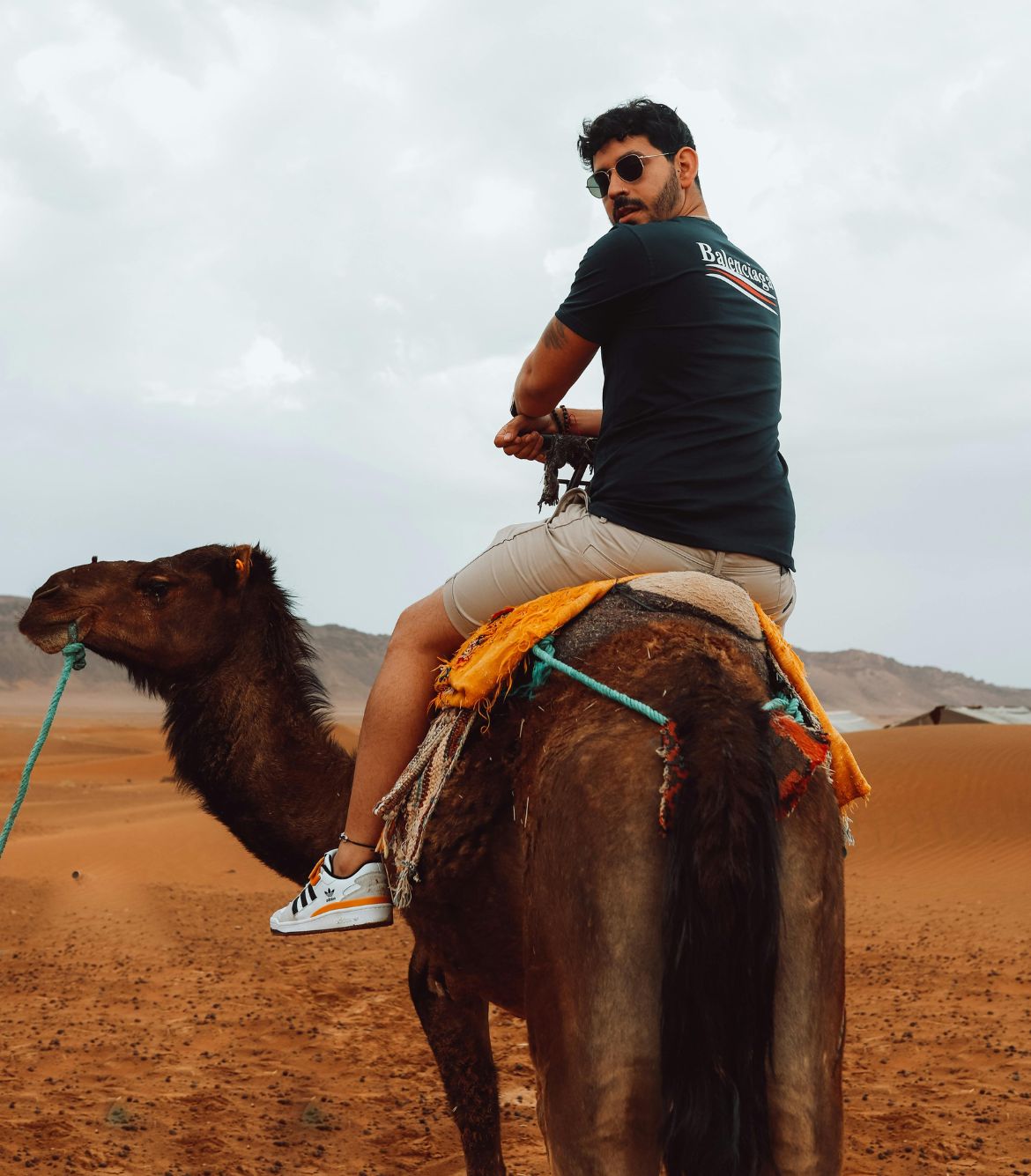 Camel Ride in Panchkula