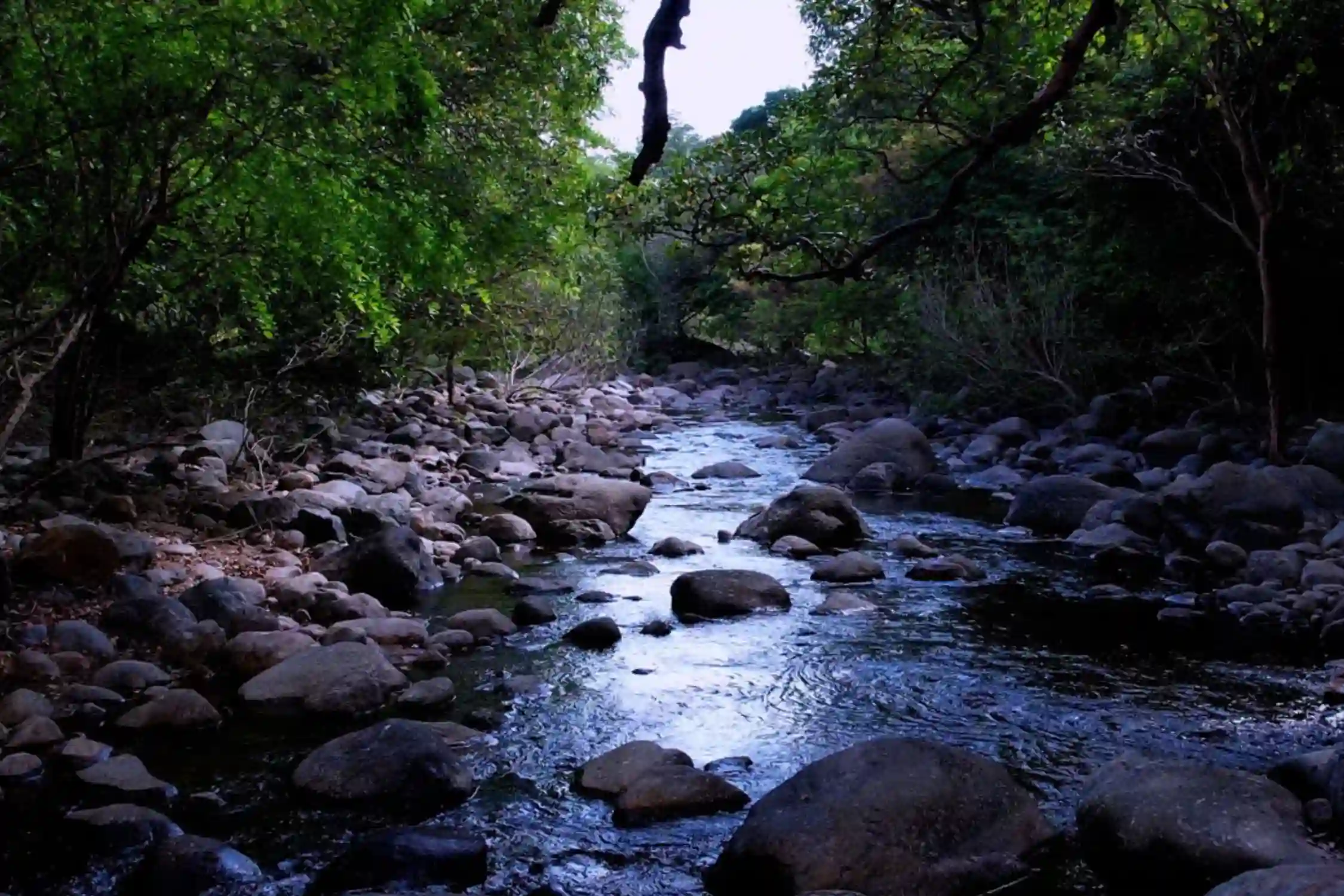 Trek to Theerthaparai