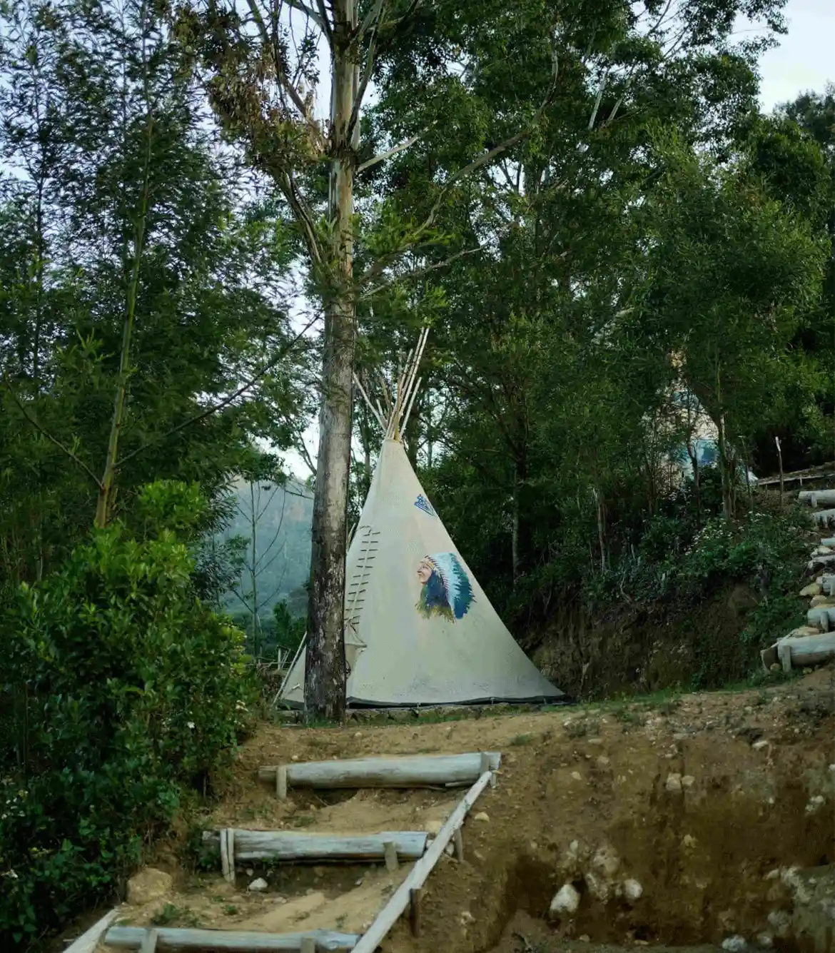 Glamping in Munnar