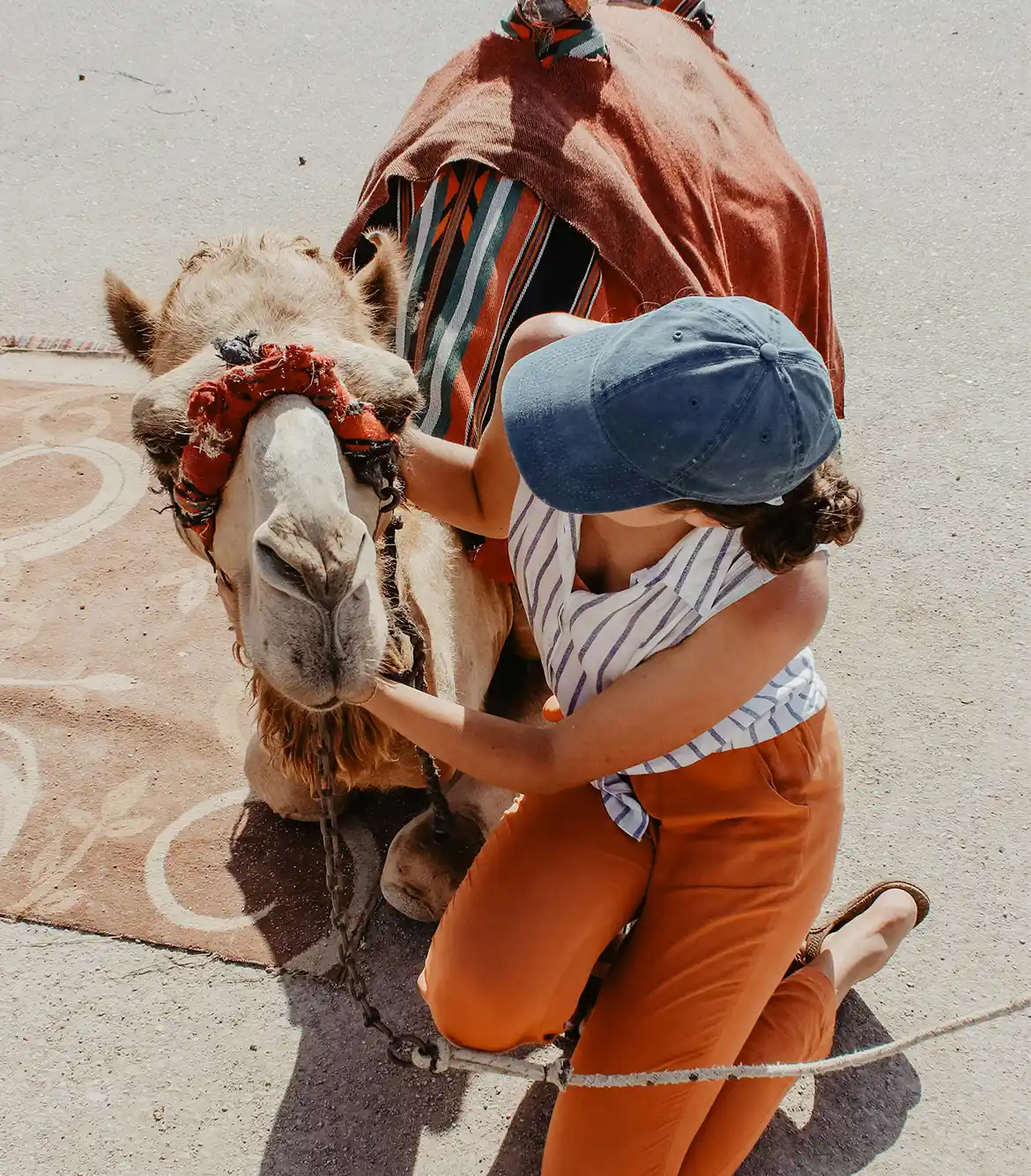 Camel Safari in Haldwani