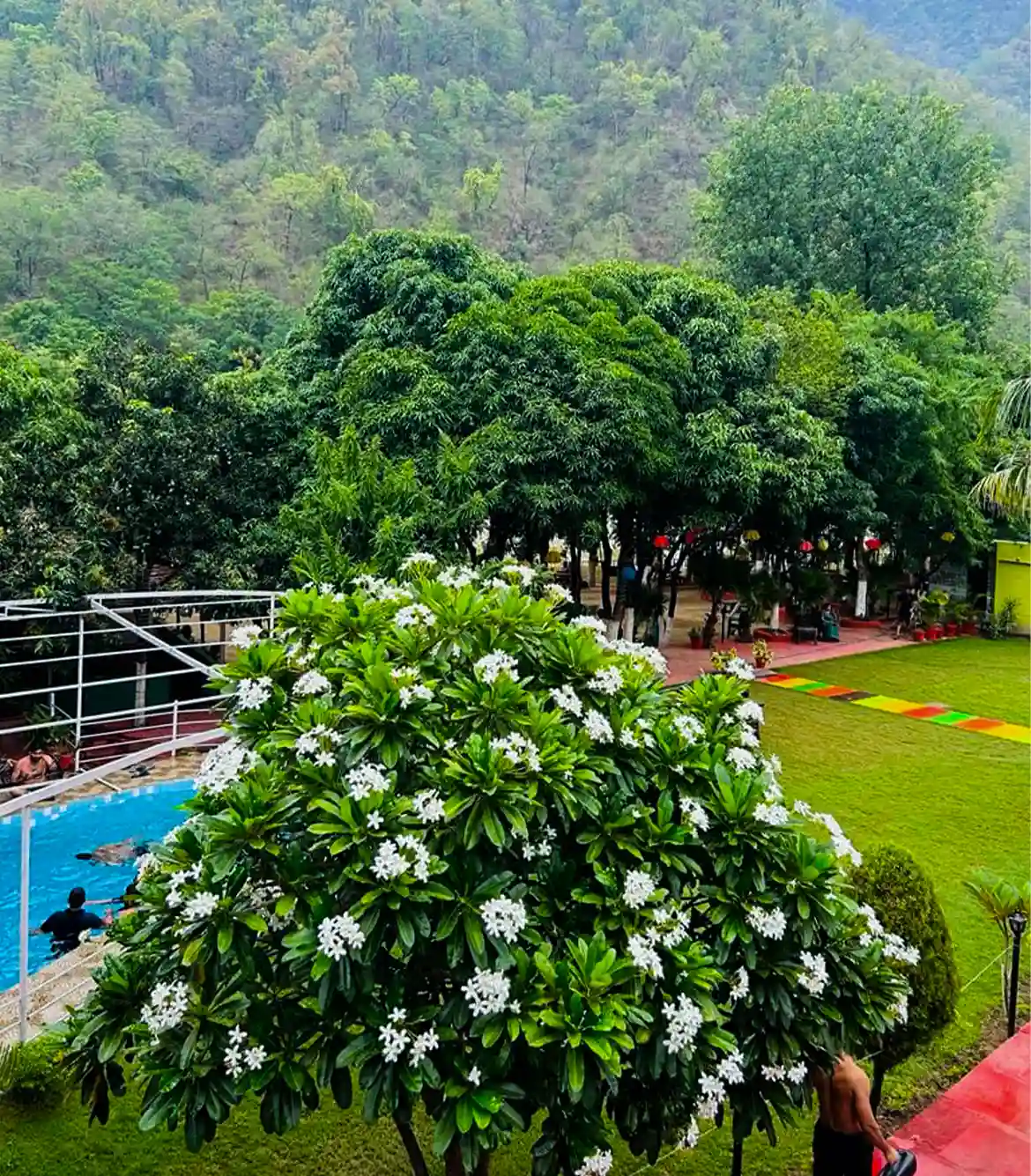 Gurugram Camp Rishikesh
